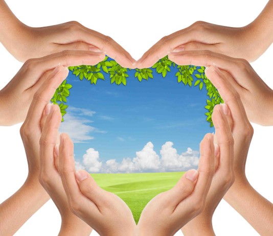 how do I improve my properties energy efficiency - Home Guide Expert