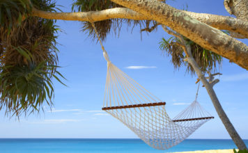 Summer Garden Hammock Guide Summer Garden Hammock Guide - Home Guide Expert