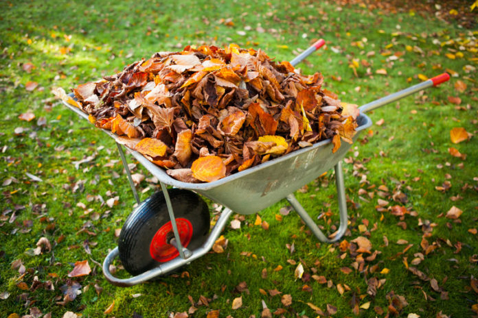 How to deal with Fallen Leaves - Home Guide Expert