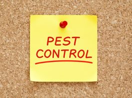 Pest Control - Home Guide Expert