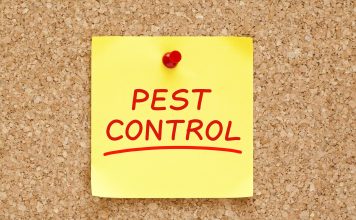 Pest Control - Home Guide Expert