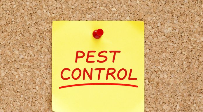 Pest Control - Home Guide Expert