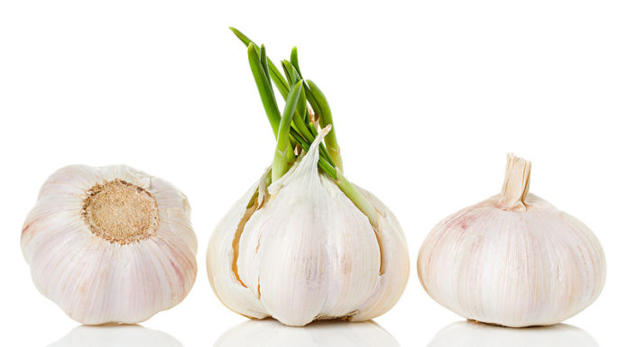 What are the benefits of eating garlic - Home Guide Expert
