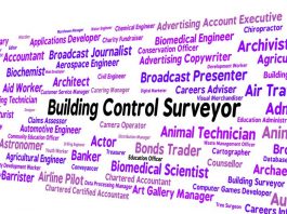 Image of the word Building Control Surveyor