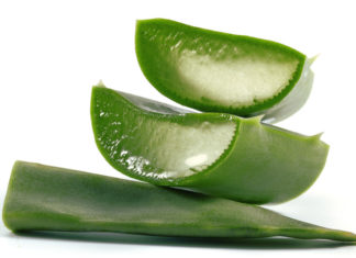 What are the benefits of Aloe Vera What are the benefits of aloe vera - Home Guide Expert