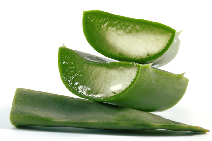What are the benefits of aloe vera - Home Guide Expert