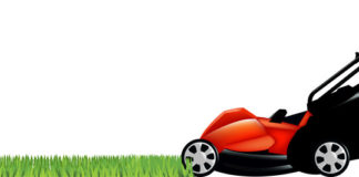 How to Choose the right lawnmower - Home Guide Expert