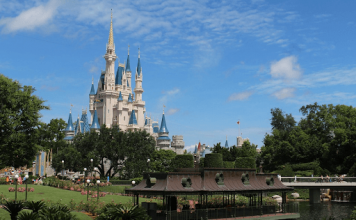 Image of Orlando